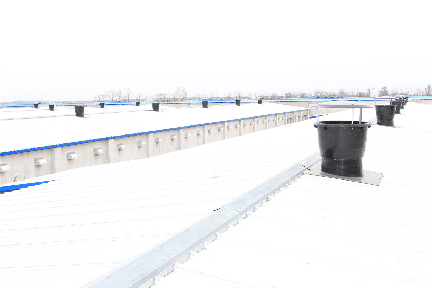 Breeding Complex in North Chinia