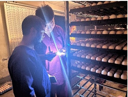 Hatching