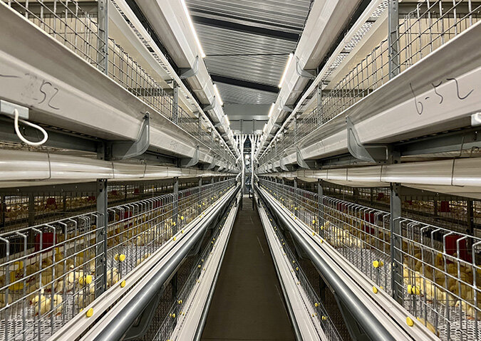 EI-LY/DC1000 Single Side Broiler Cage