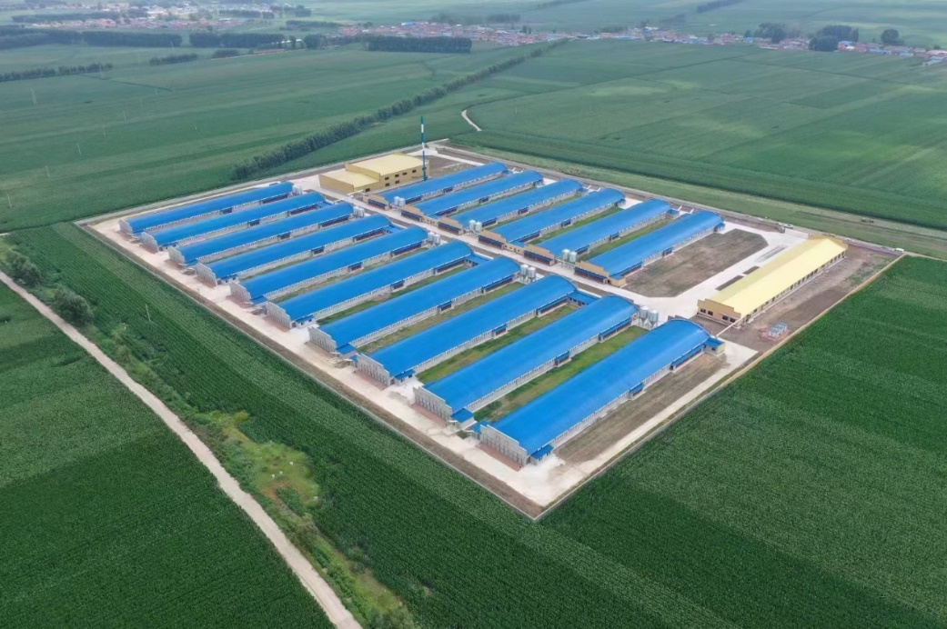 n Autumn October, A Number of EI Farming Projects Were Delivered to Help Industrial Upgrading