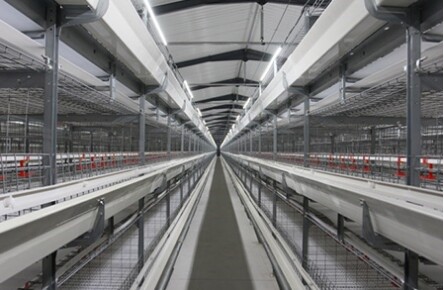Feeding Systems