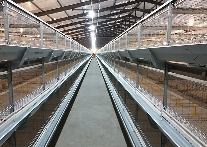 EI-LY/F8040 Air Passage Type Cage
