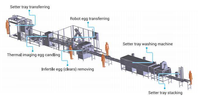 Incubation Equipment