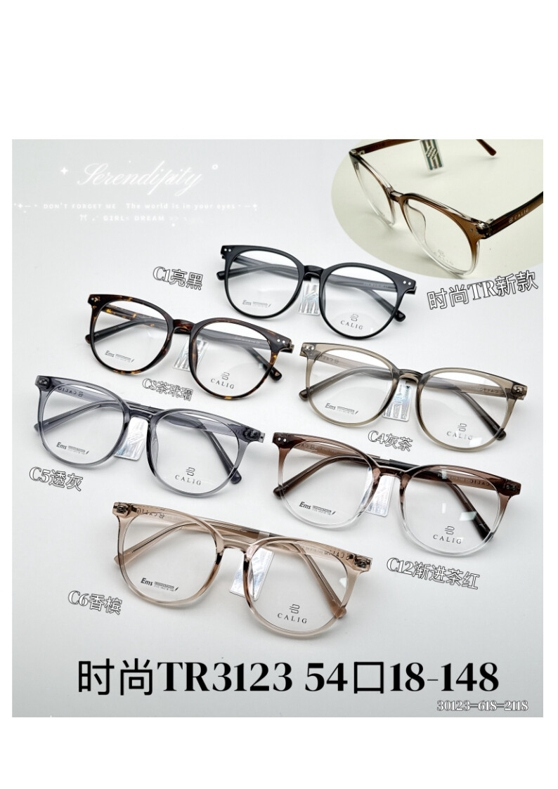 TR Optical Glasses #3123