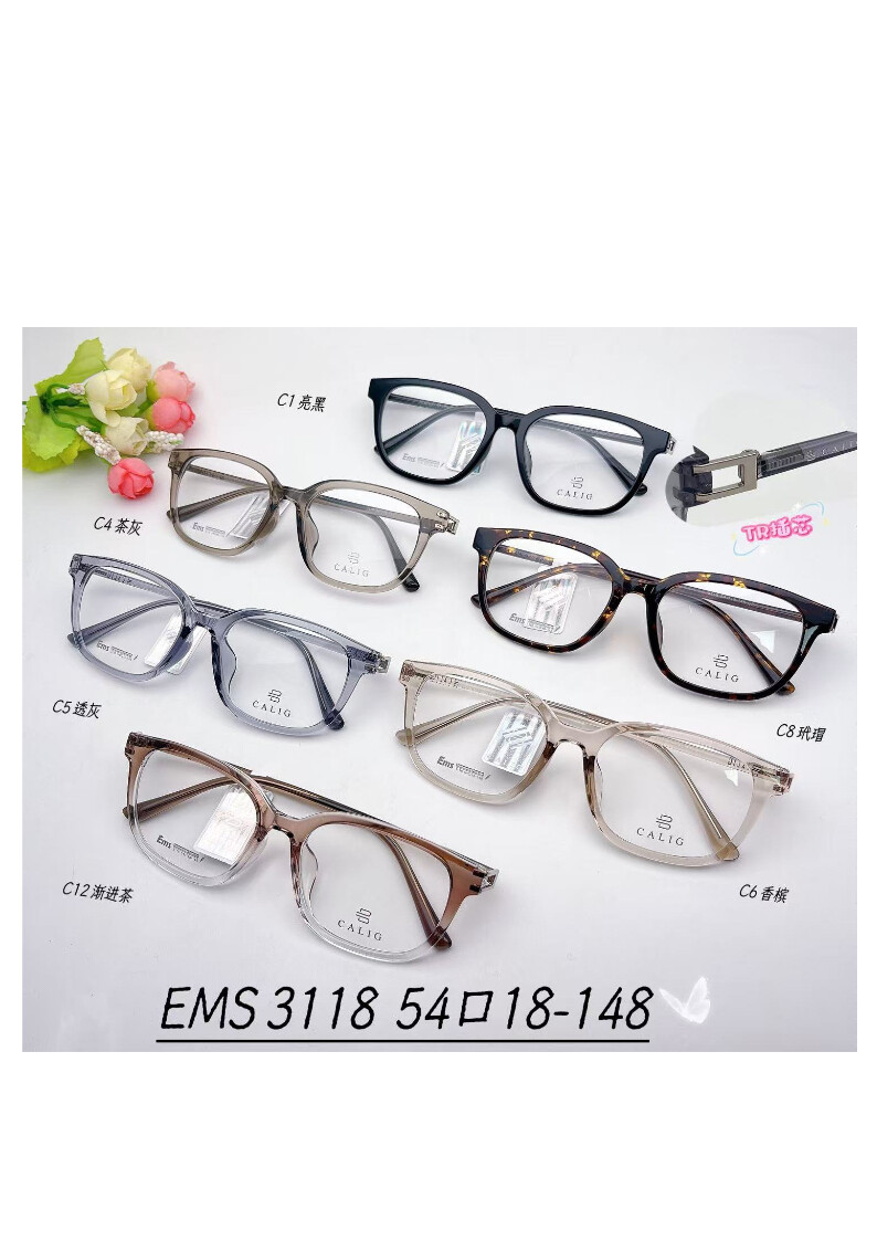 TR Optical Glasses #3118
