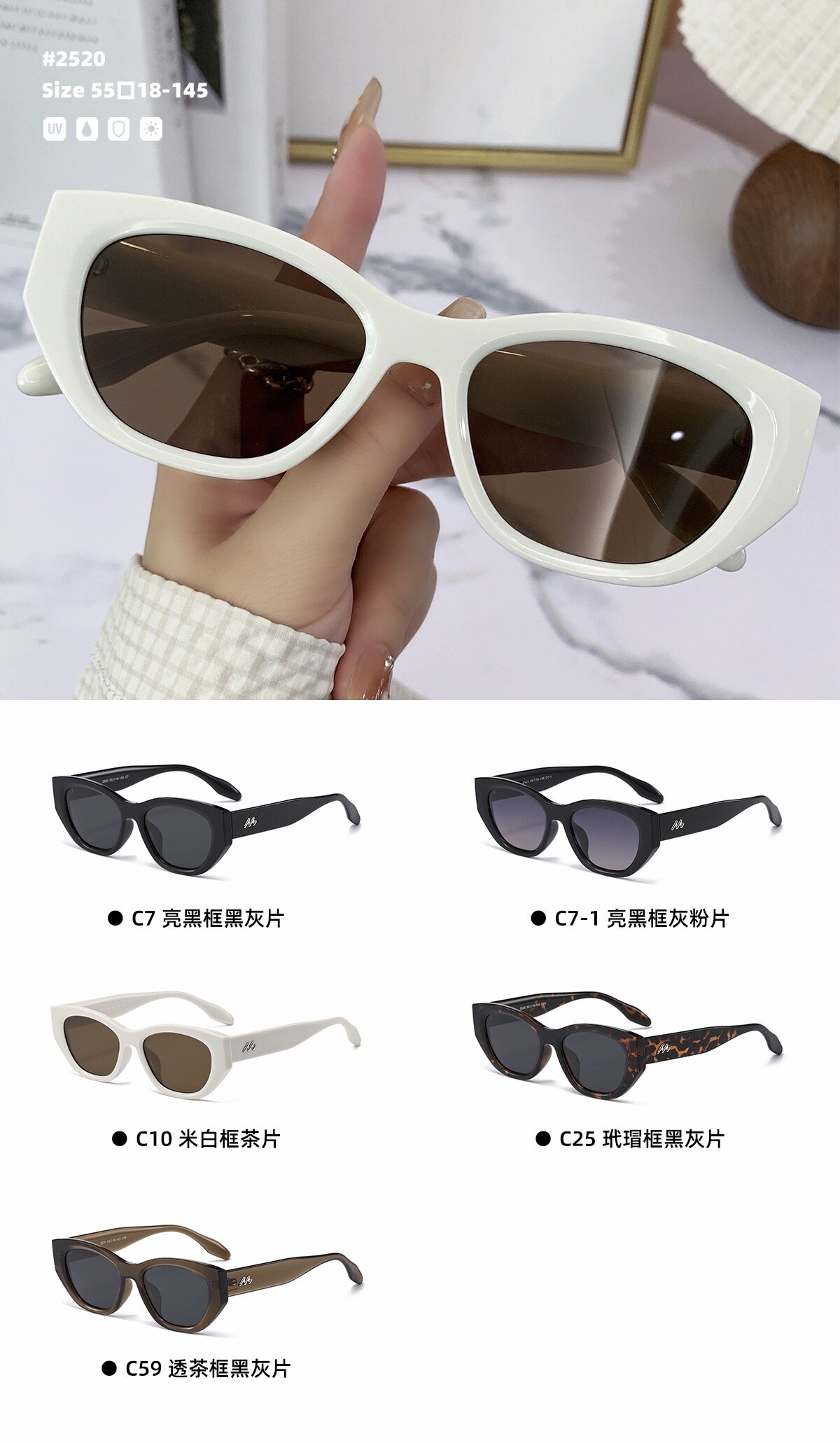 Casual Sunglasses #2520