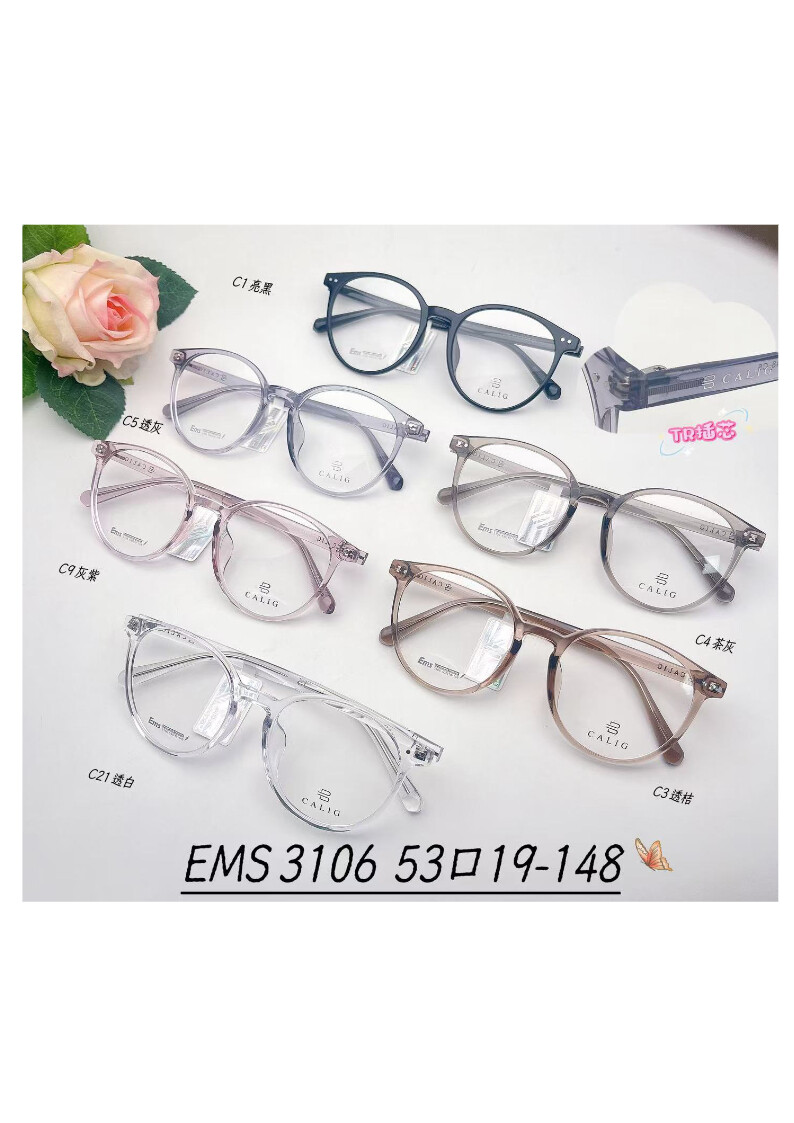 TR Optical Glasses #31061
