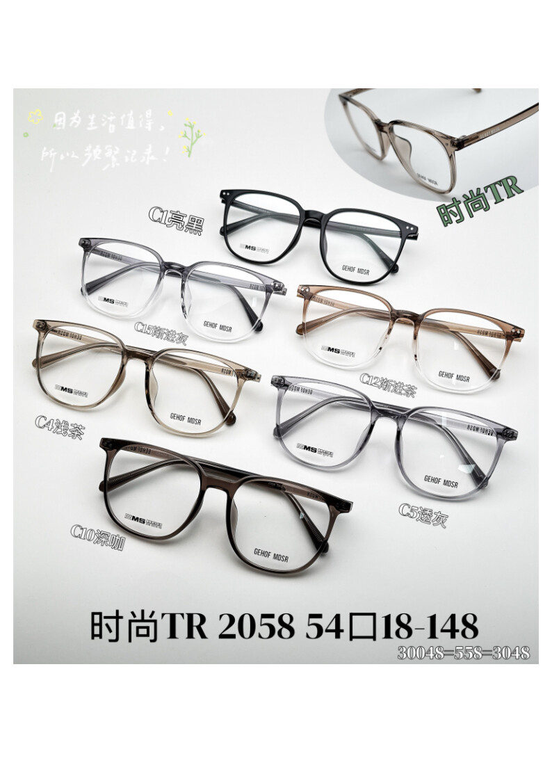 TR Optical Glasses #2058