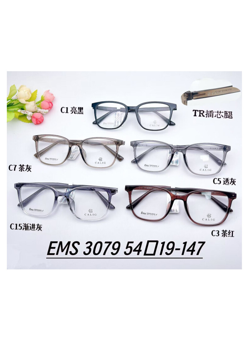 TR Optical Glasses #3079