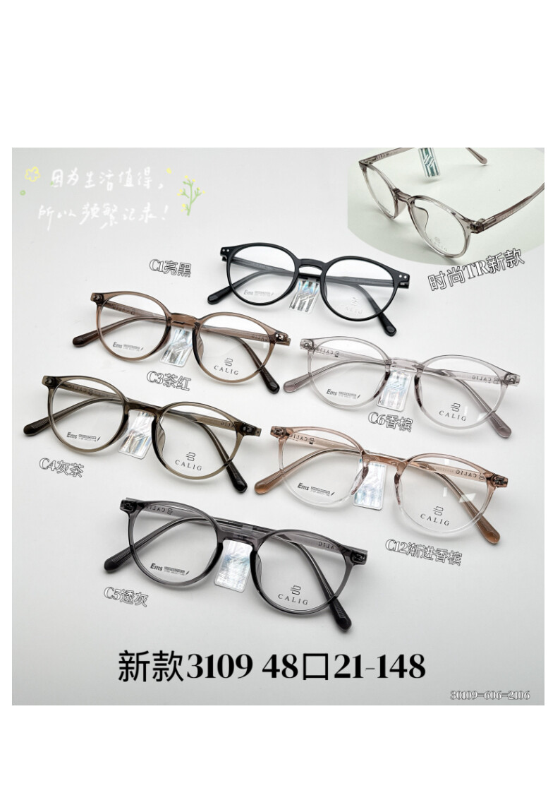 TR Optical Glasses #3109