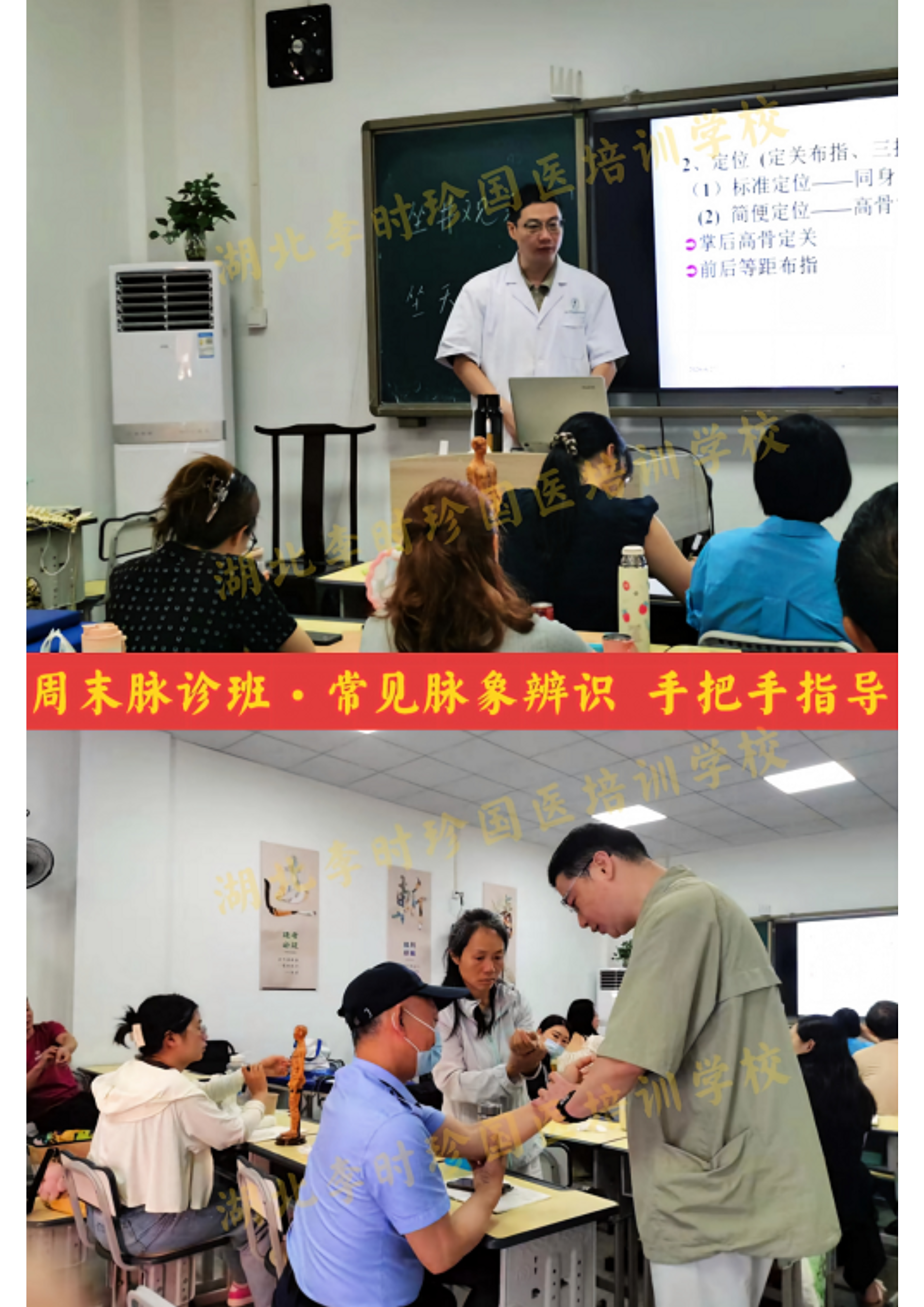 脉诊周末班