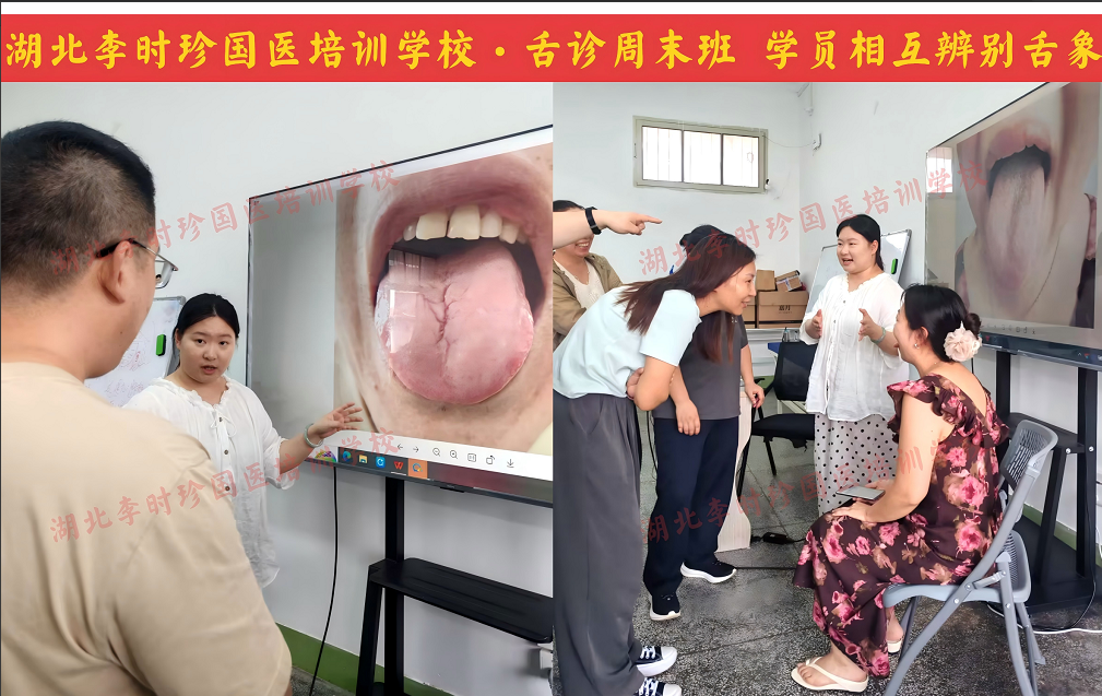 舌诊周末班