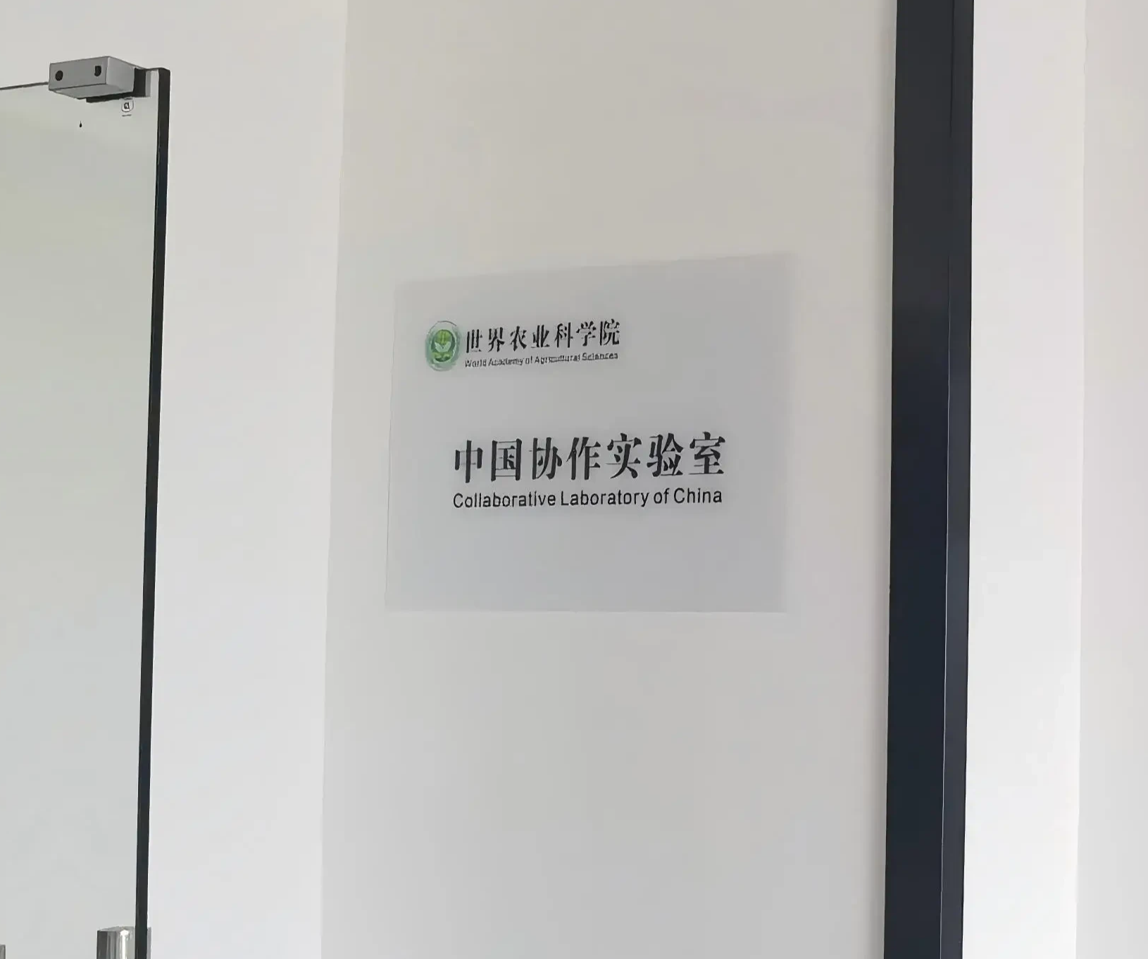 WAAS Establishes China Collaborative Laboratory for Cereal Crop Research in Partnership with Guangdong Haina Agricultural Research Institute