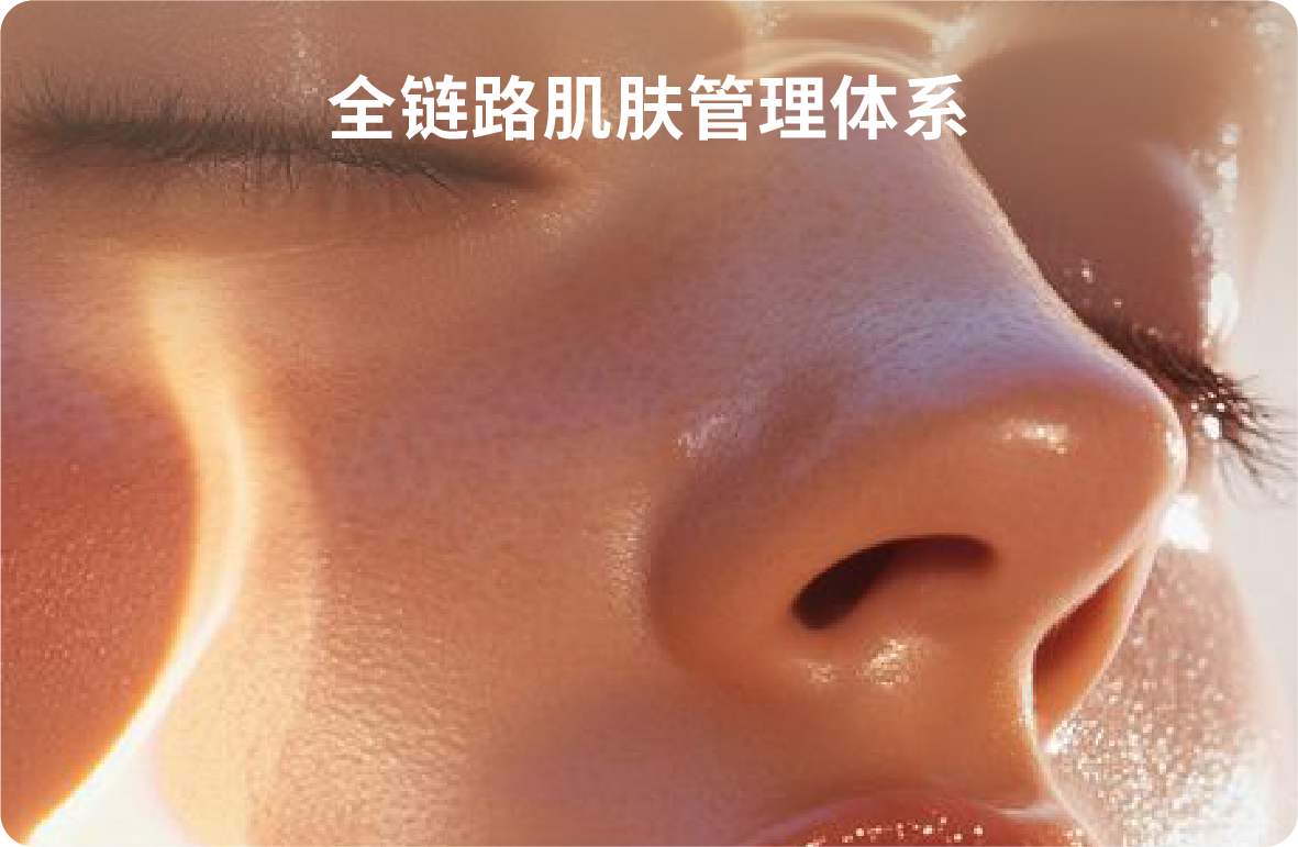 美发造型-电脑版