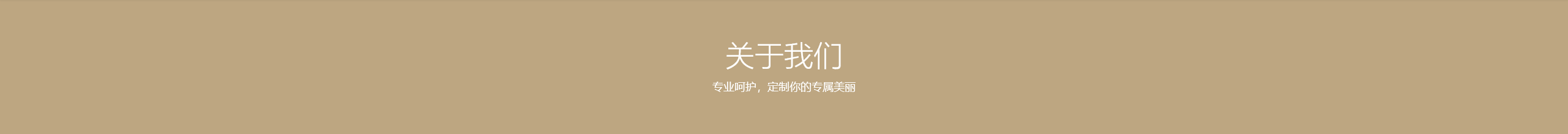 关于我们-电脑版