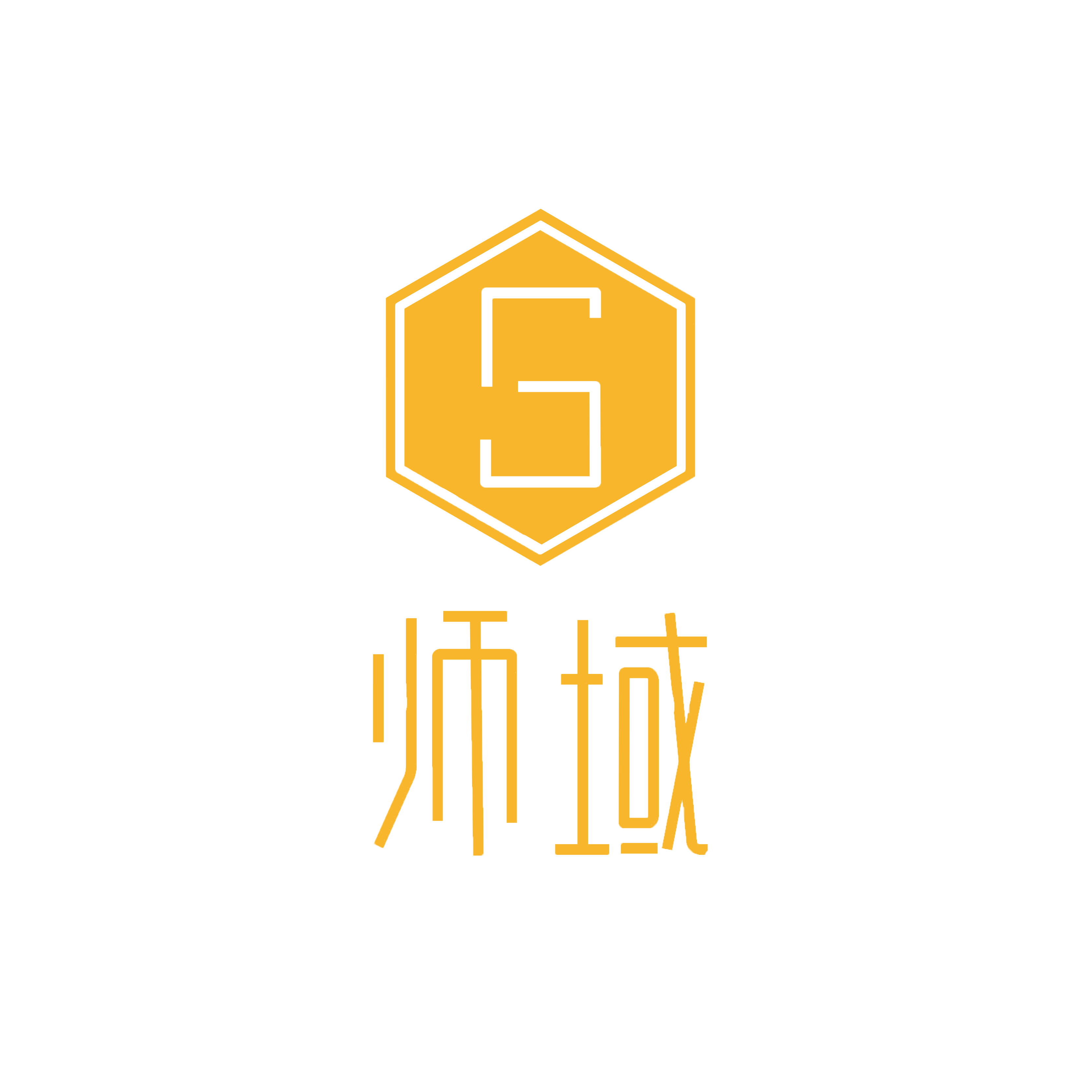 师域飞行器科技 Logo