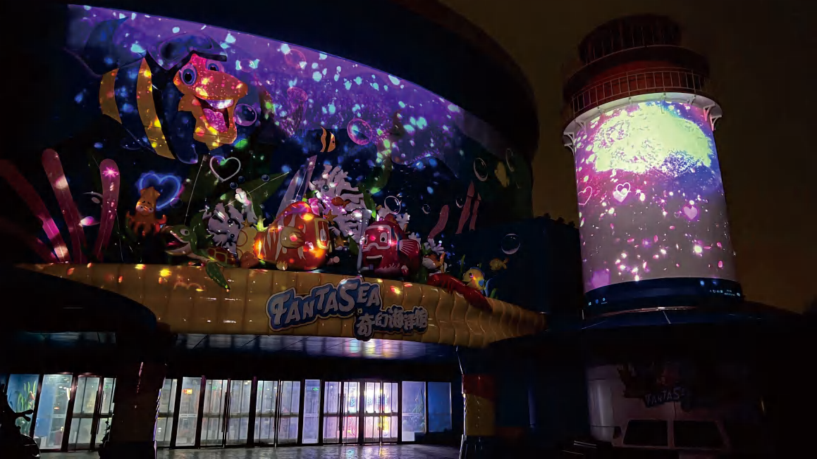 Projection Display
