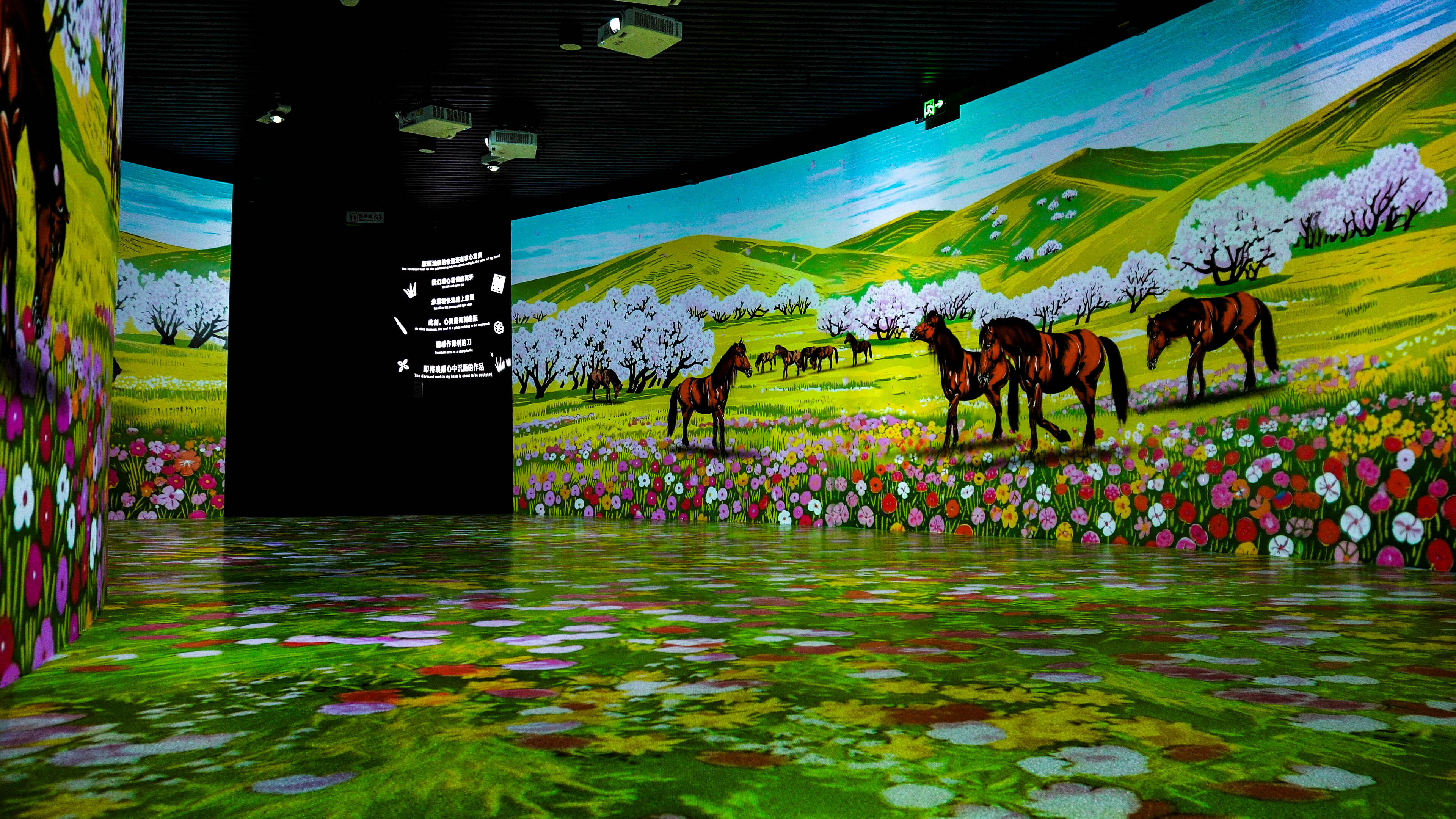 Digital Experience Hall