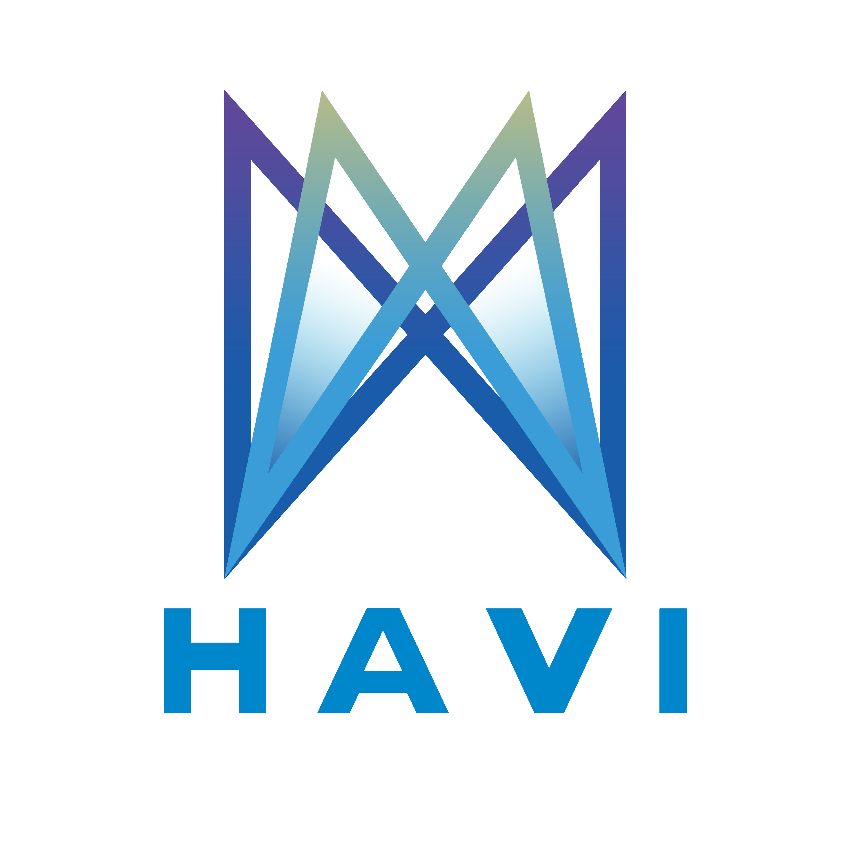 HAVI
