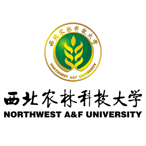 School Logo 3