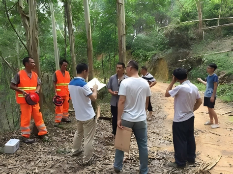 Forest Site Survey