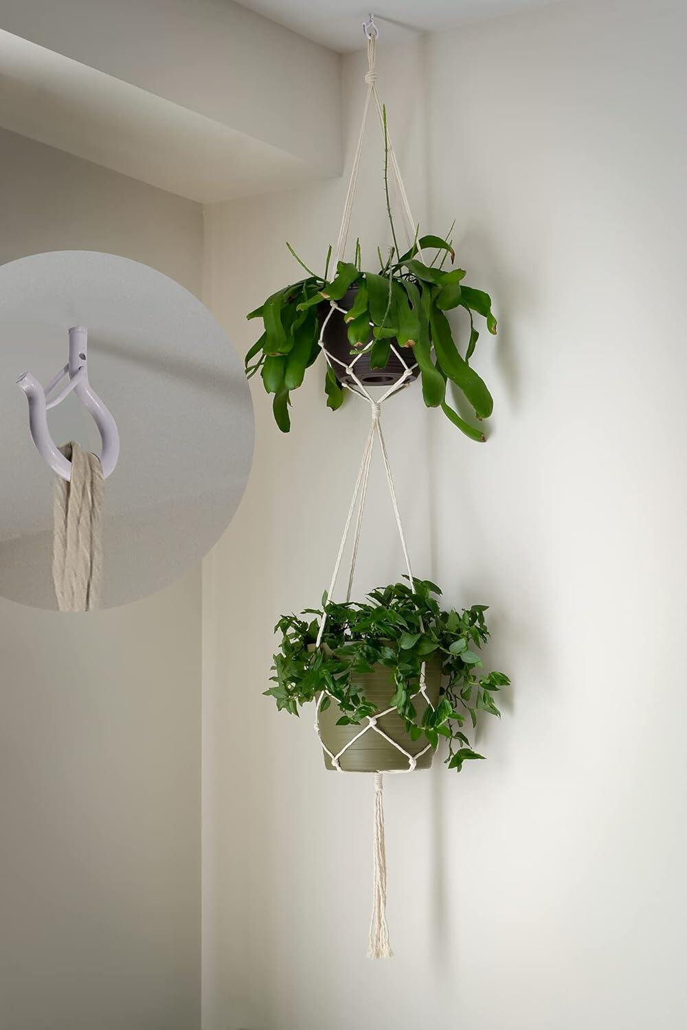 PlusRoc 20 Pack Ceiling Hooks thumbnail 3