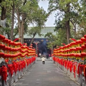 洛阳关林