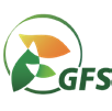 GFS
