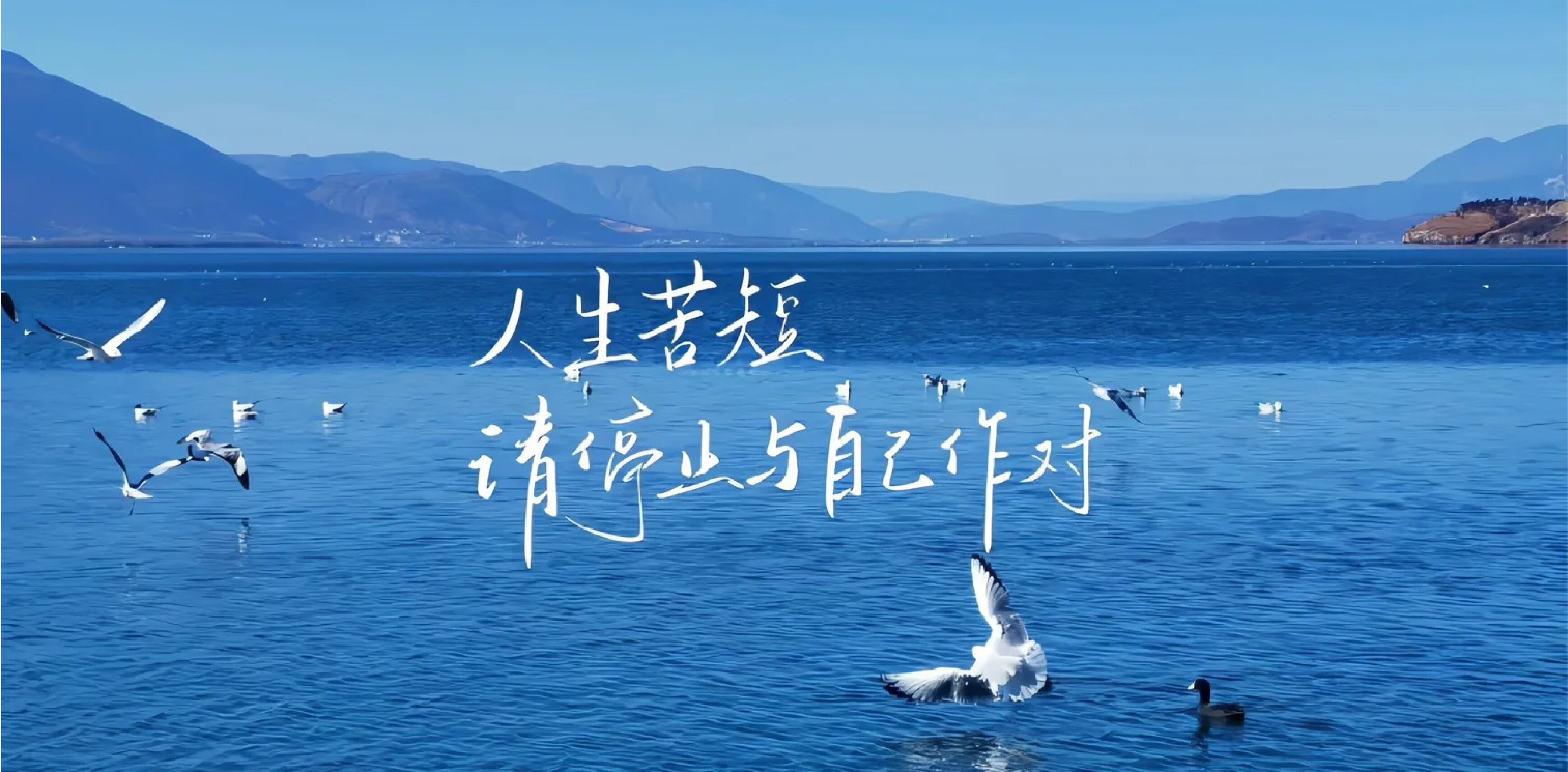 弘澜心理系列