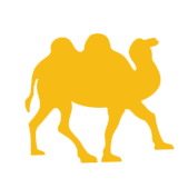 Camel Group