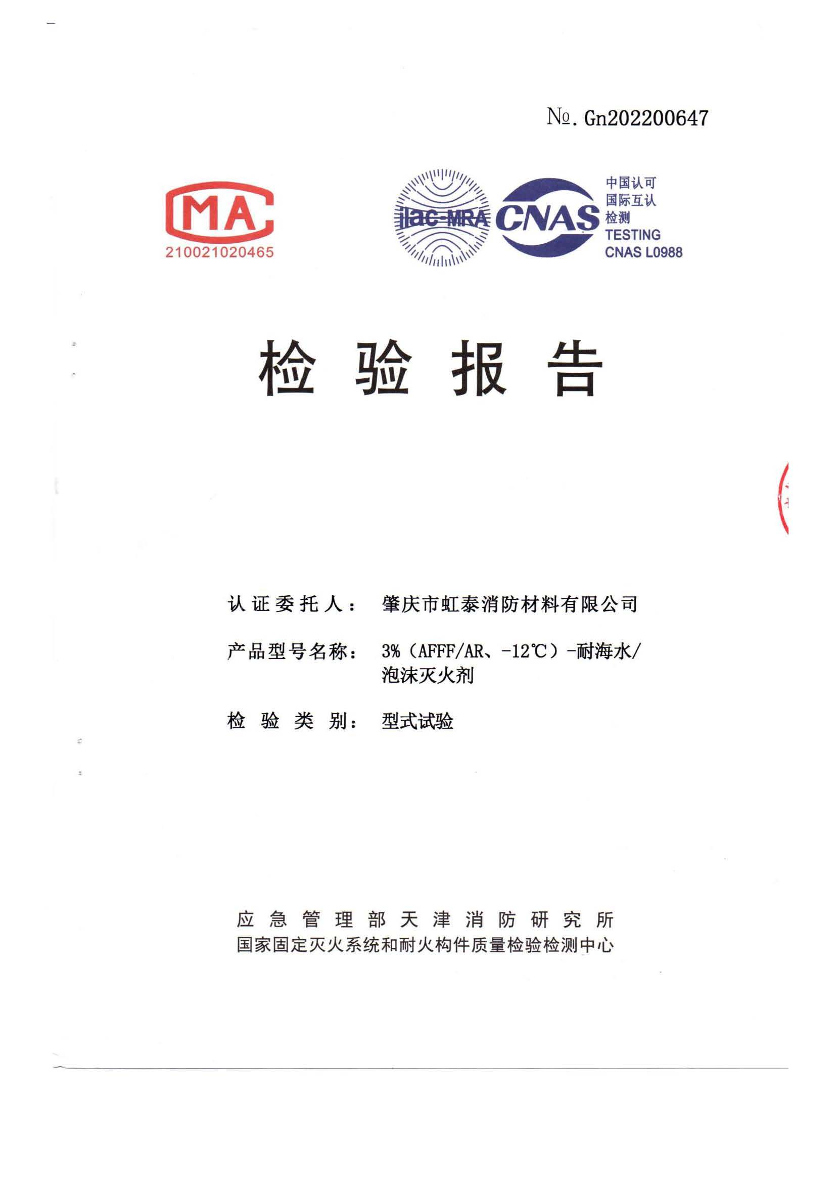 Type Inspection Report