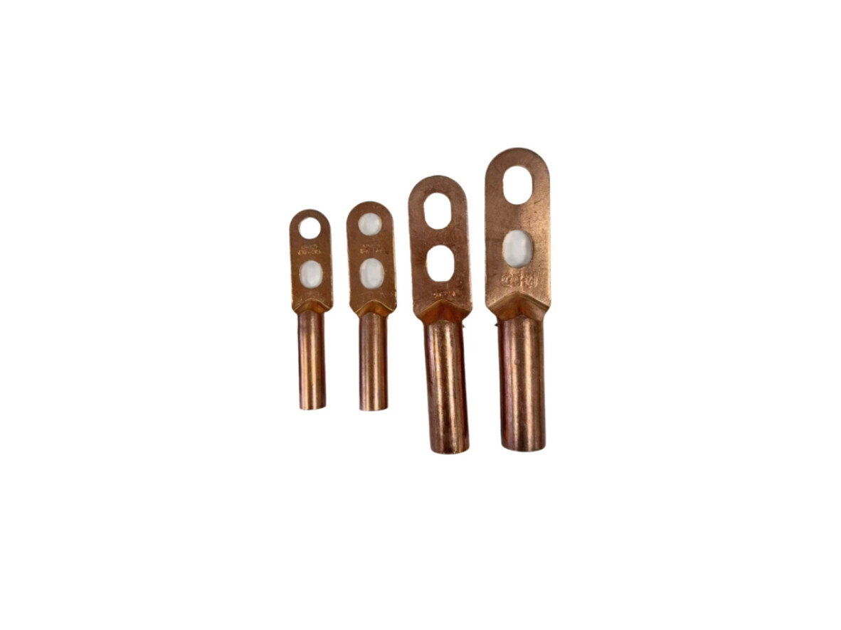 Standard Size DTS Double Hole Copper Terminal Connectors Crimp Lugs for Automotive Use Copper Wire Electrical Connections