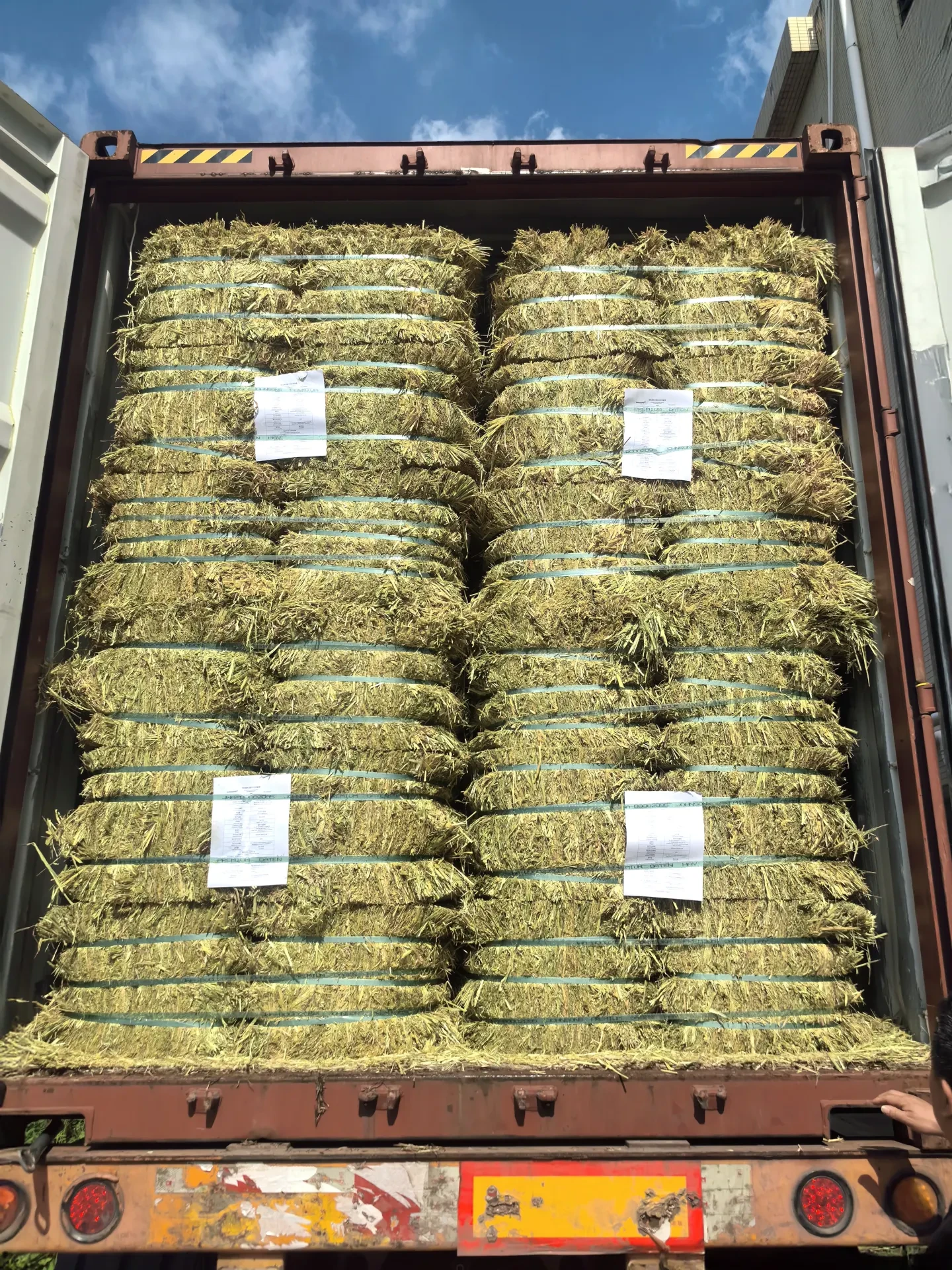 小宠饲料颗粒的工厂生产线