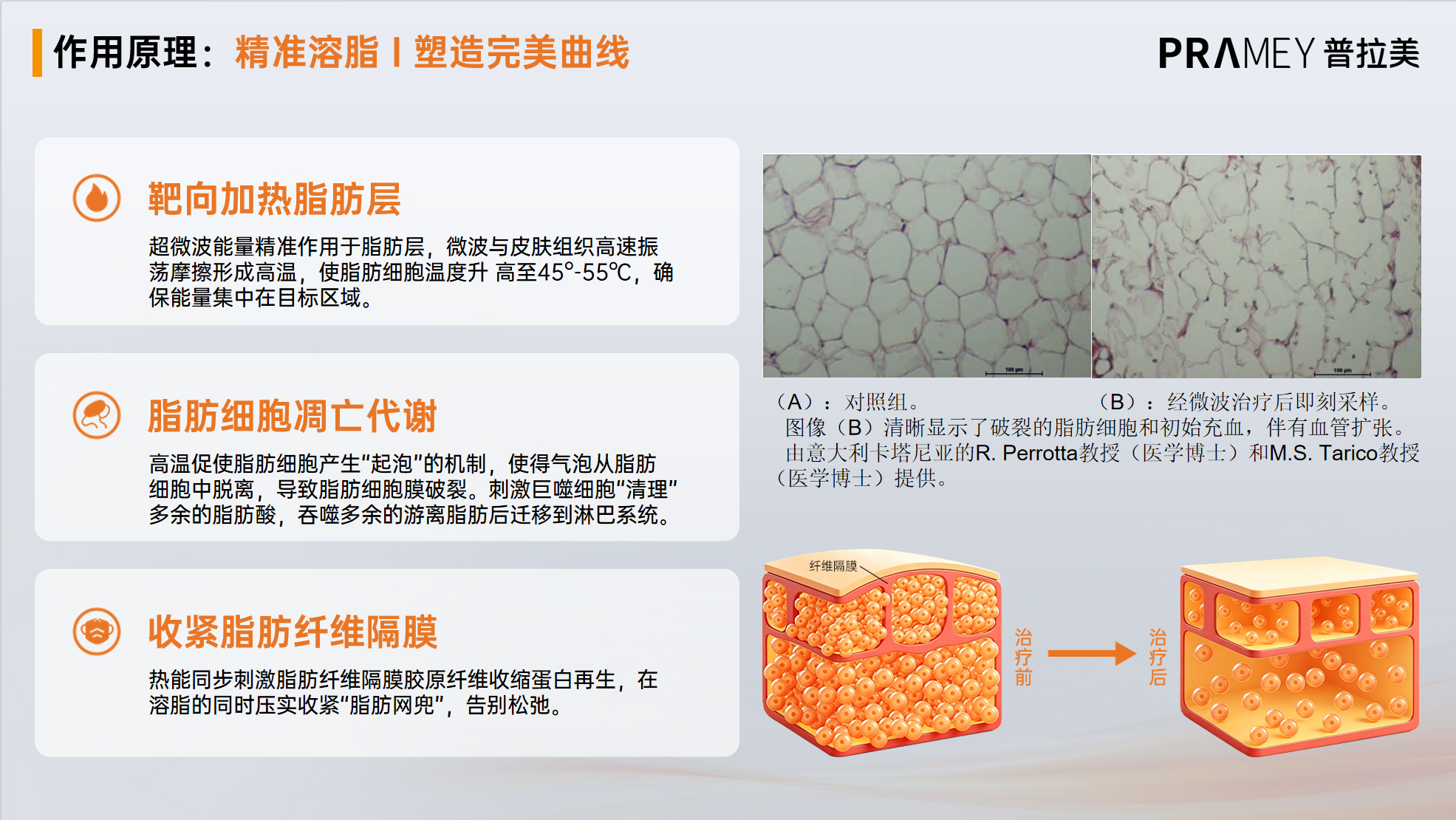 精准溶脂原理