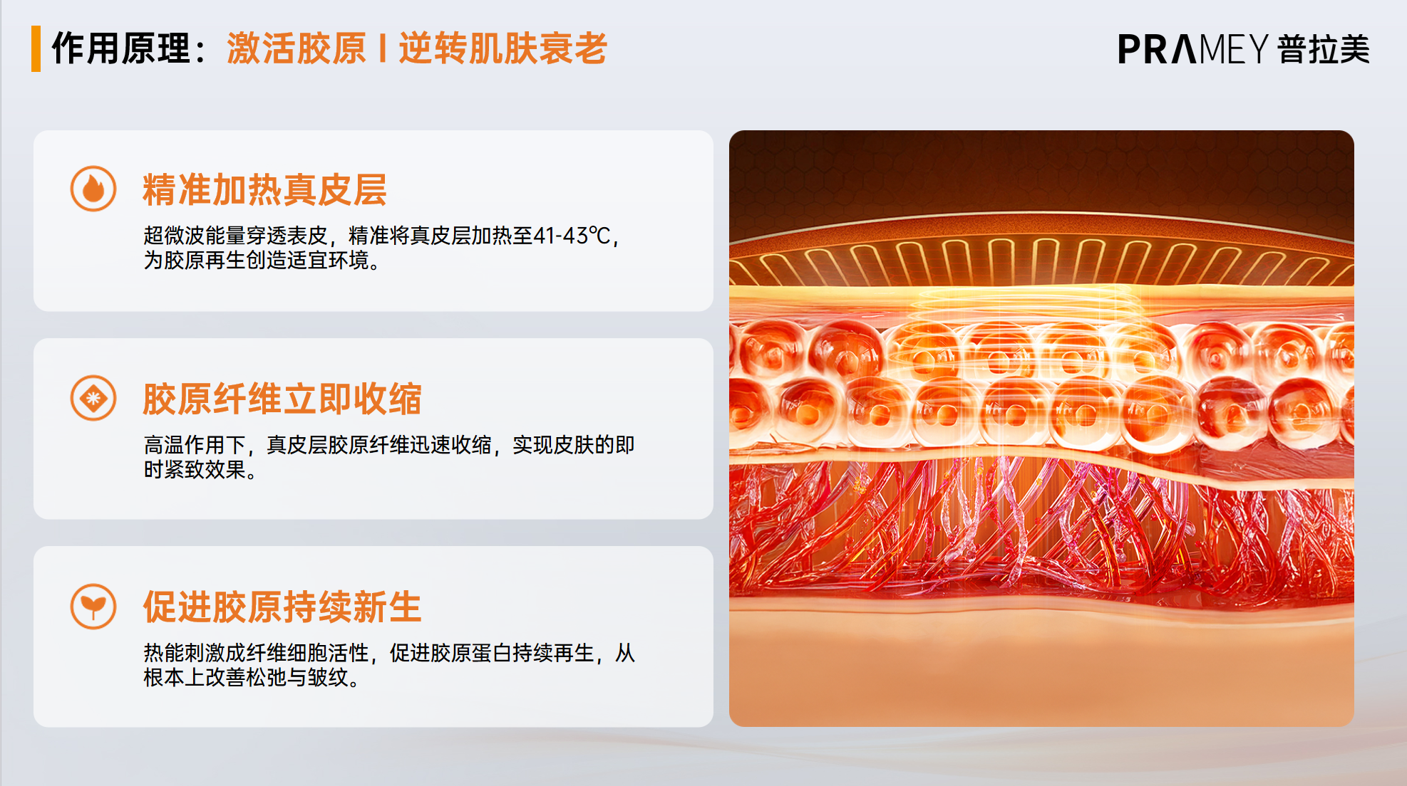 激活胶原原理