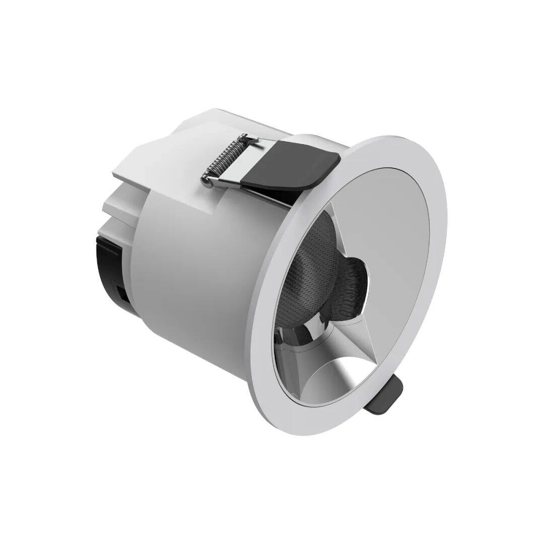 Recessed polarized downlight 2