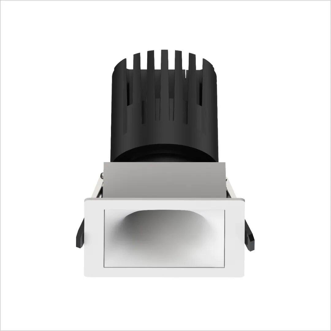 Square Spotlight