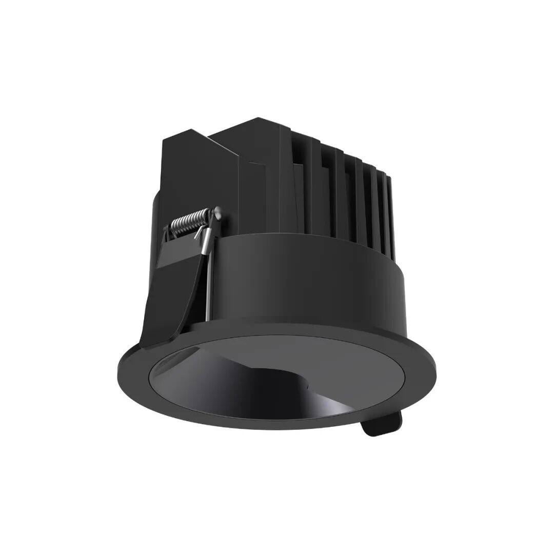 Recessed polarized downlight 3