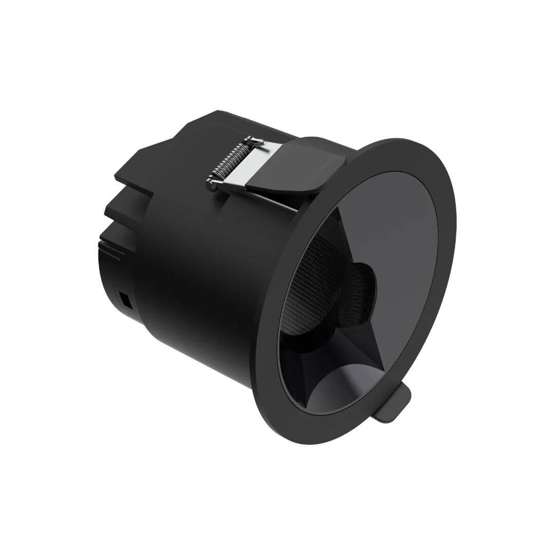 Recessed polarized downlight