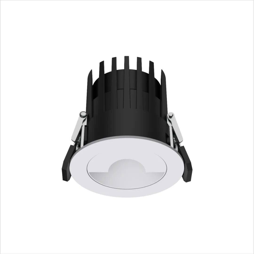 Polarized wall-mounted Downlight