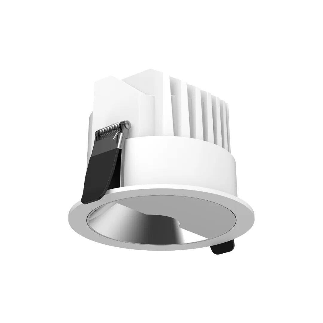 Recessed polarized downlight 4
