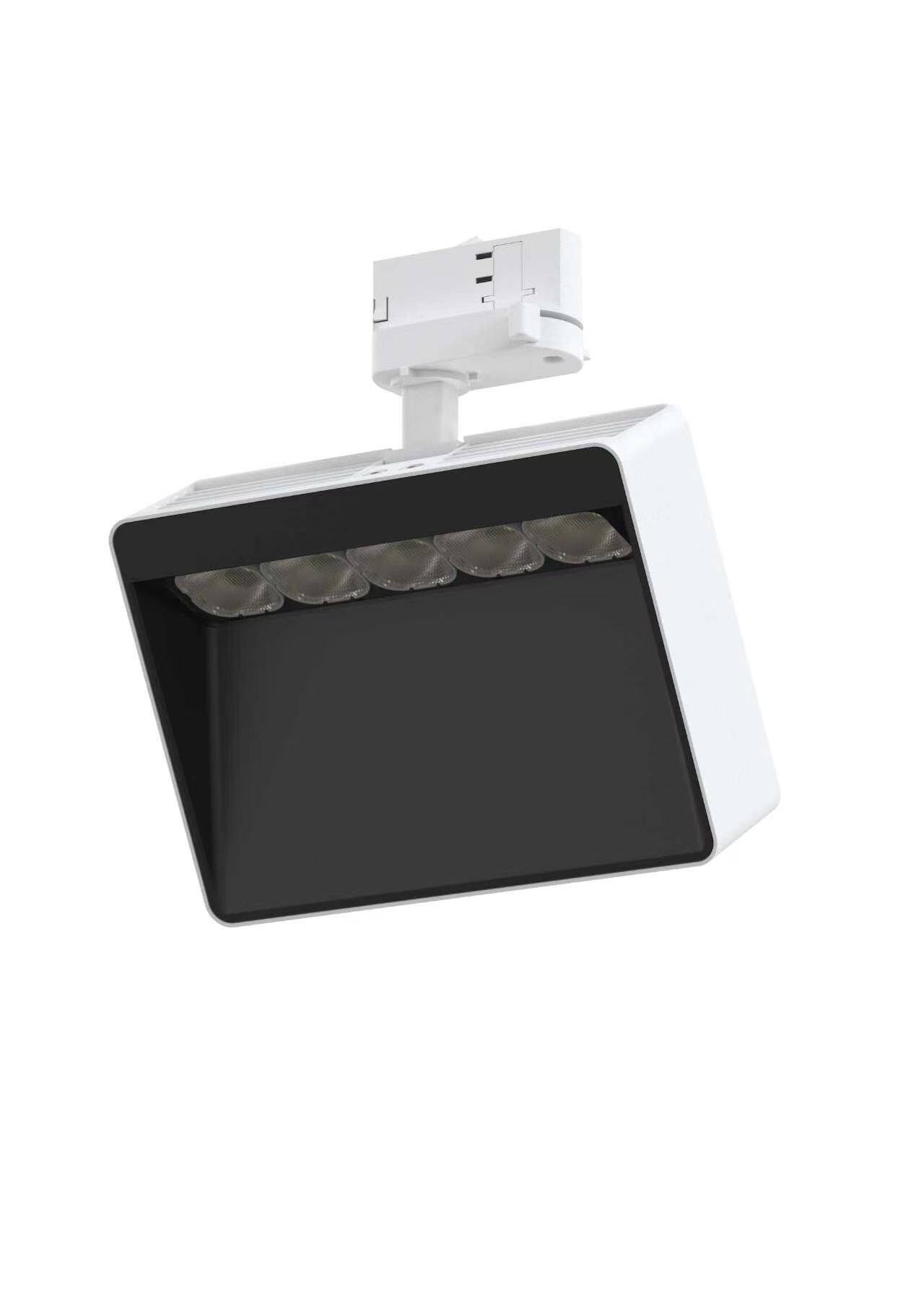 Polarized wall washer track light