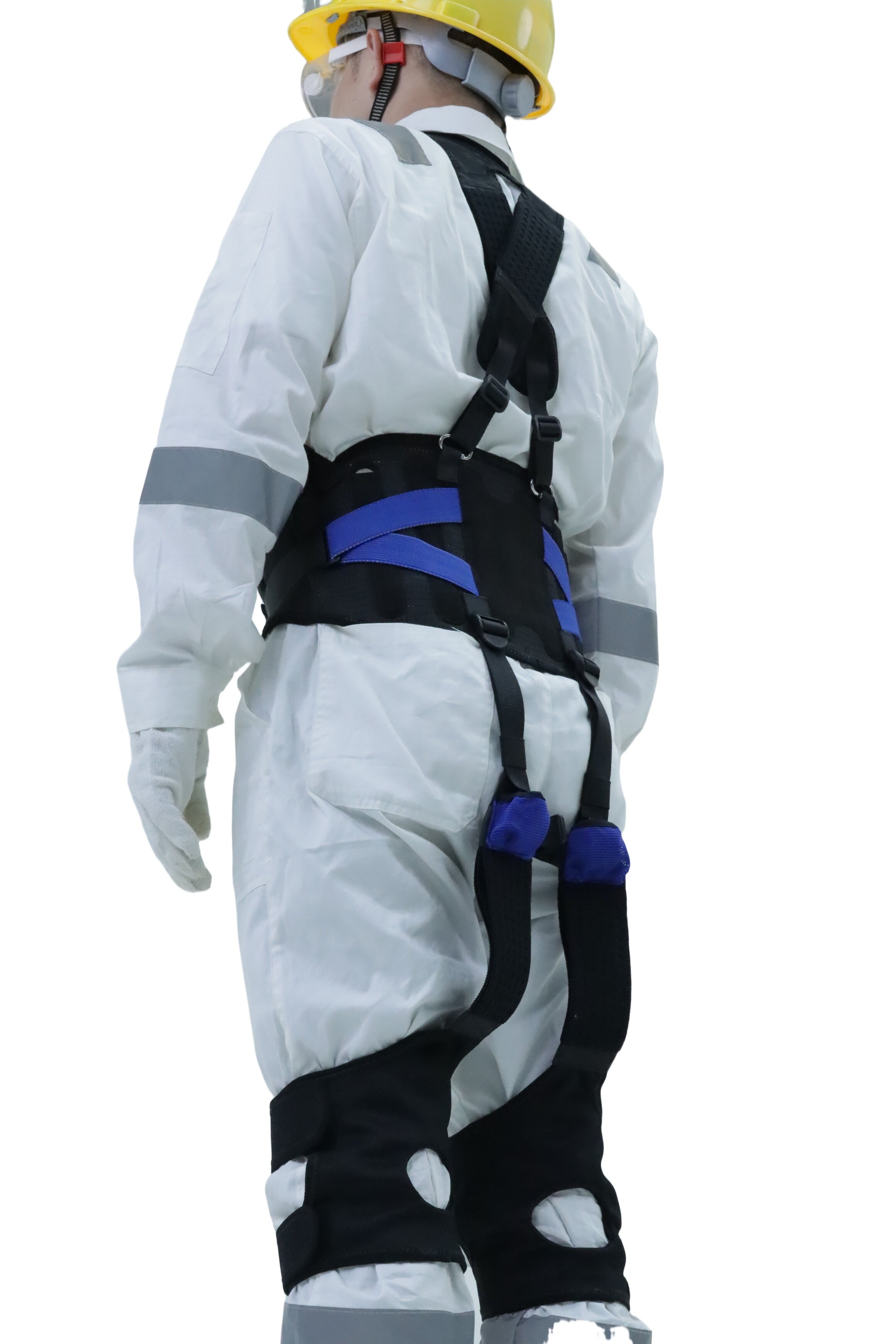 JGD Muscle and Tendon Band