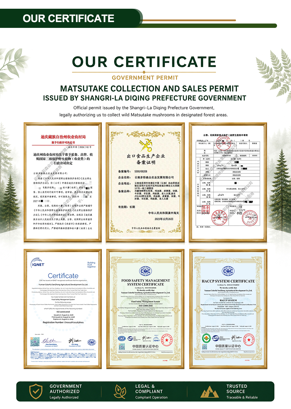 Full Certification Wall