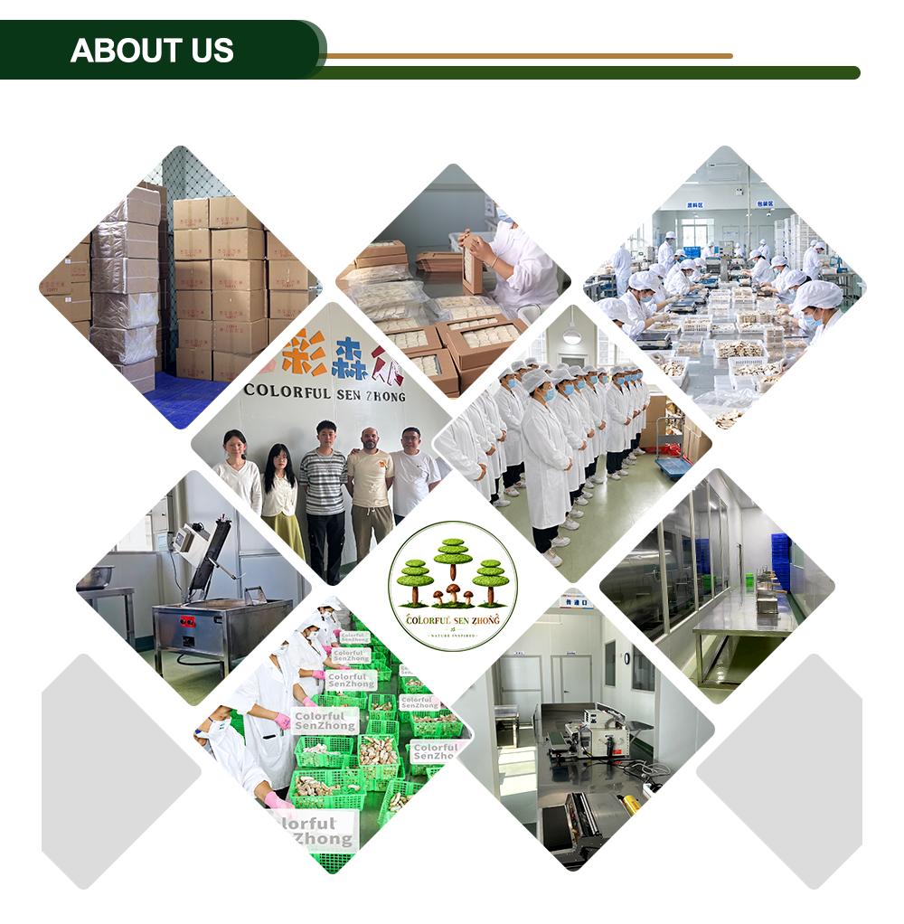 Colorful Harvest team: production staff, quality team and international customers at our Kunming facility