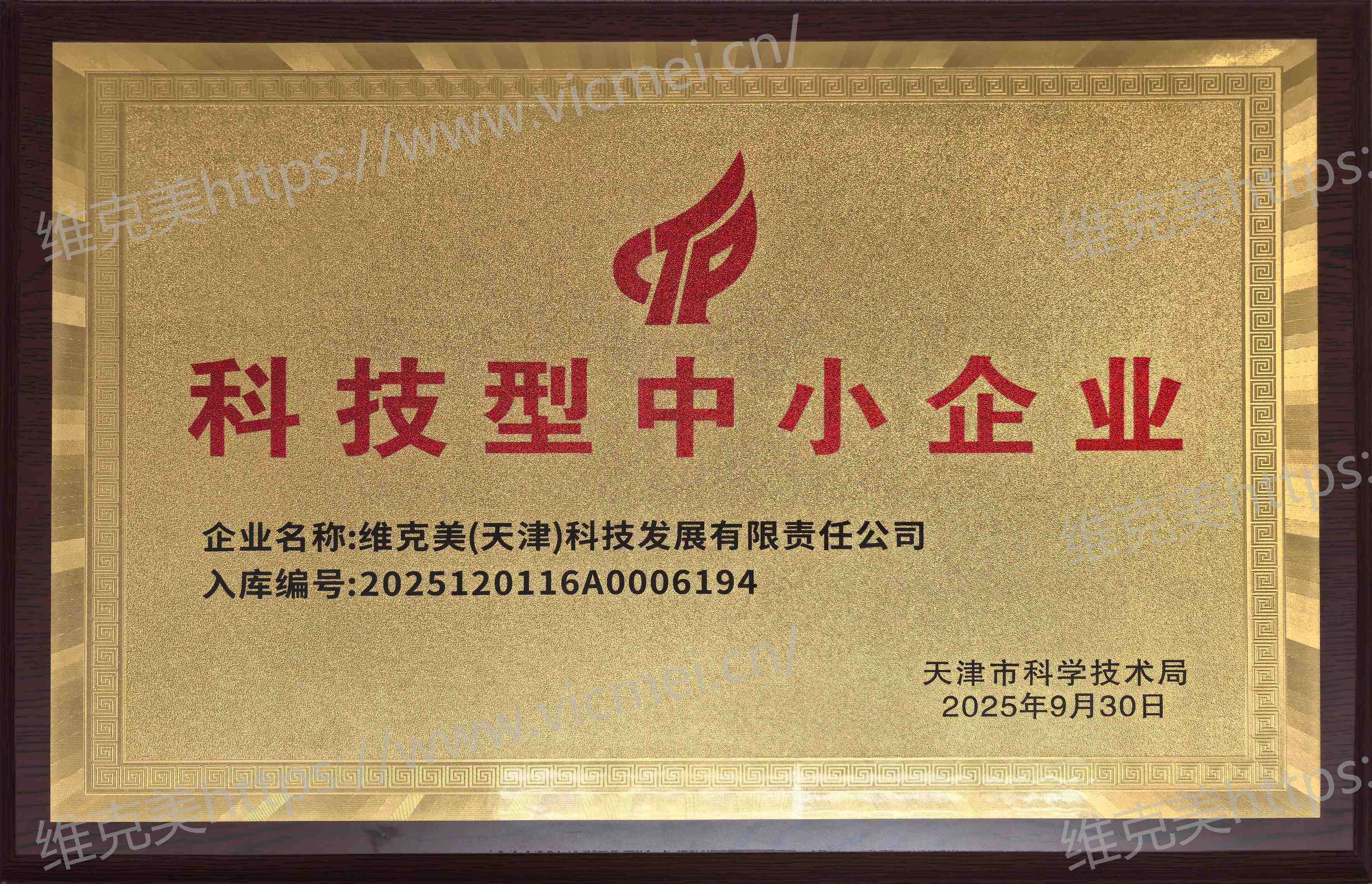 科技型中小企业