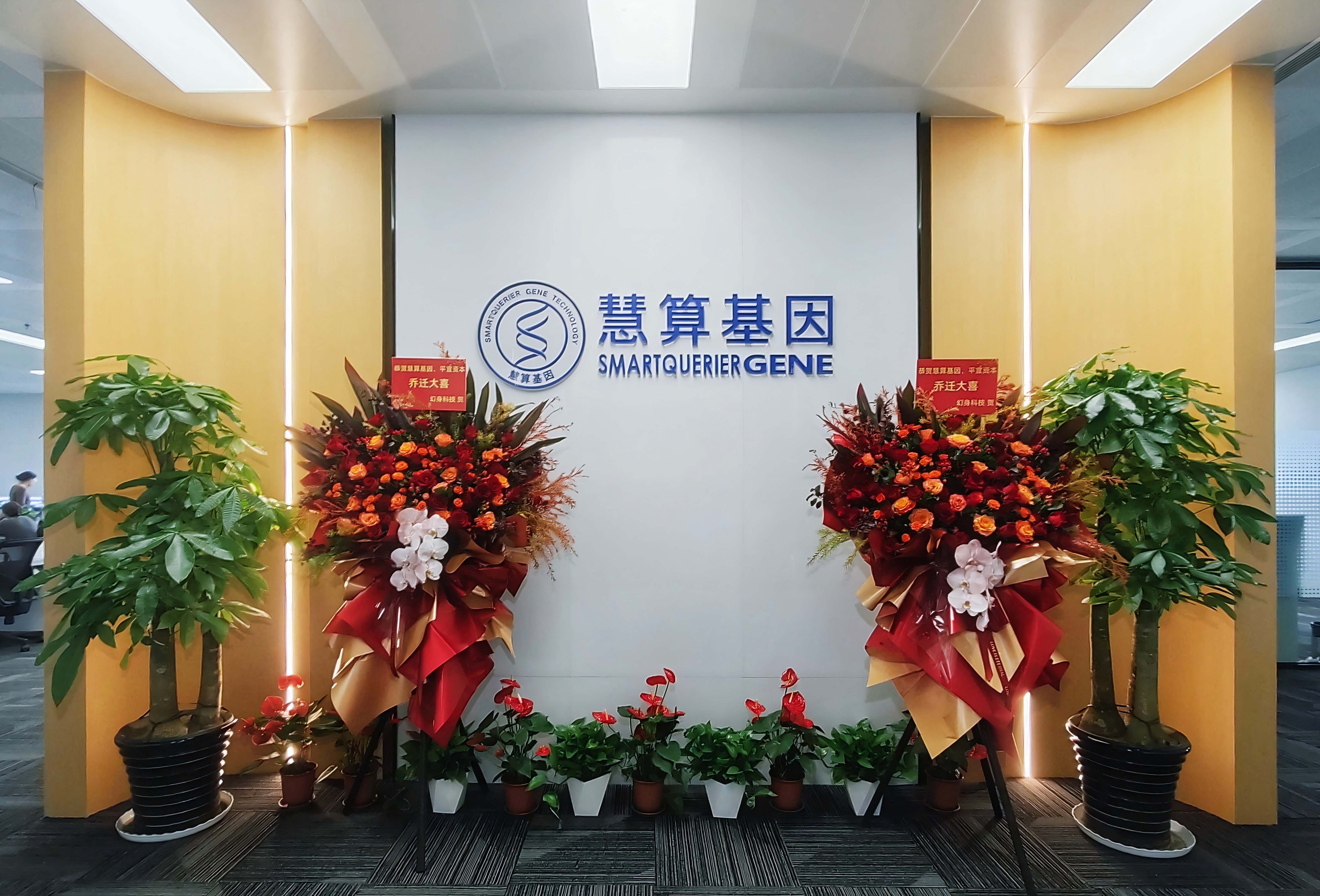 公司简介