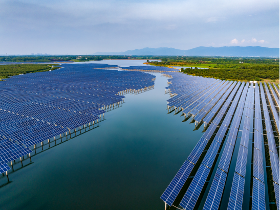 广东肇庆 300MW 渔光互补项目