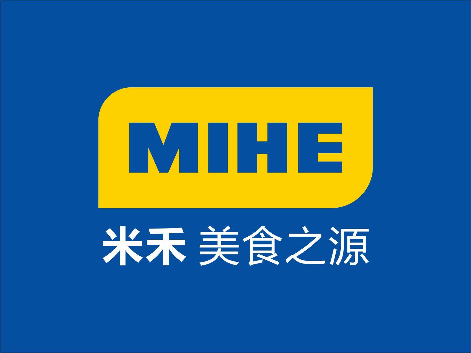 新案例17