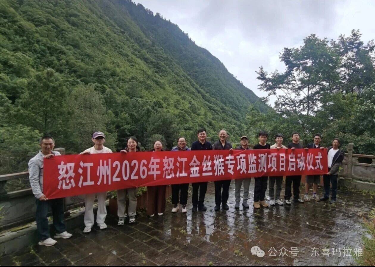 东喜玛拉雅研究院开展怒江金丝猴野外监测实地考察